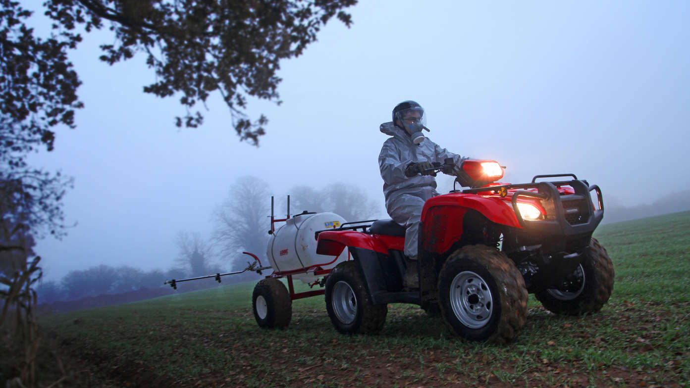 Foreman being used by model, field location.