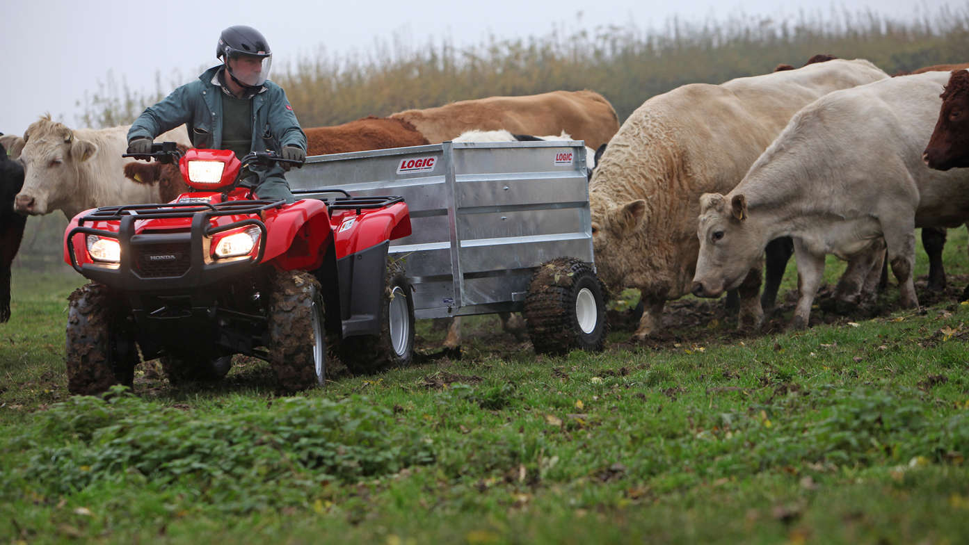 Foreman being used by model, field location.