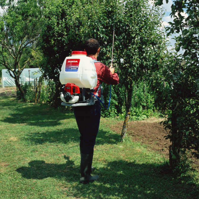 Backpack sprayer being used by model, garden location.