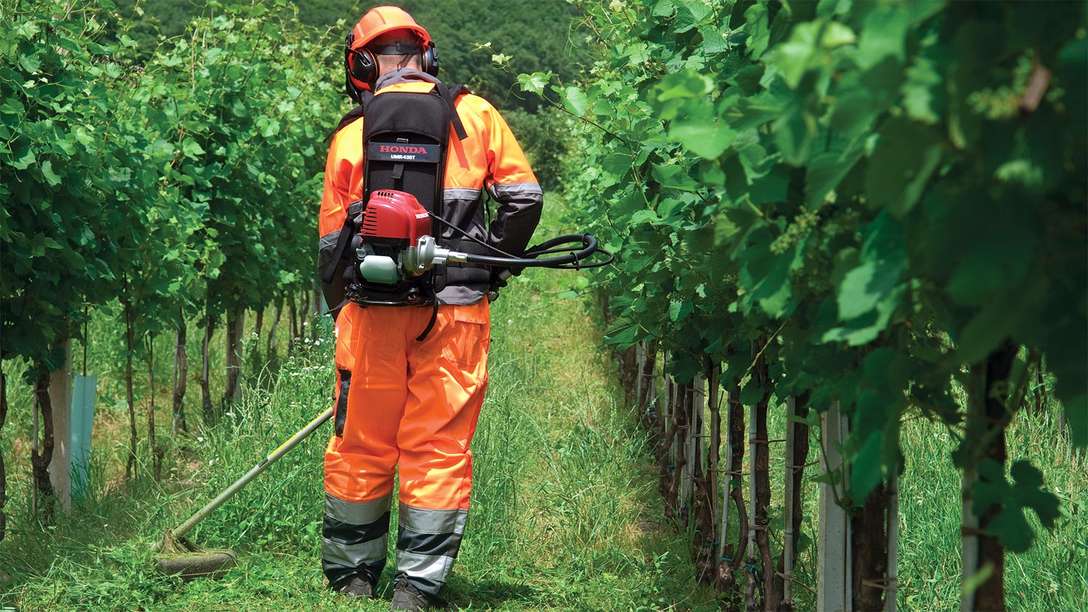 Honda Backpack Brushcutters, being used by model, grassland location.