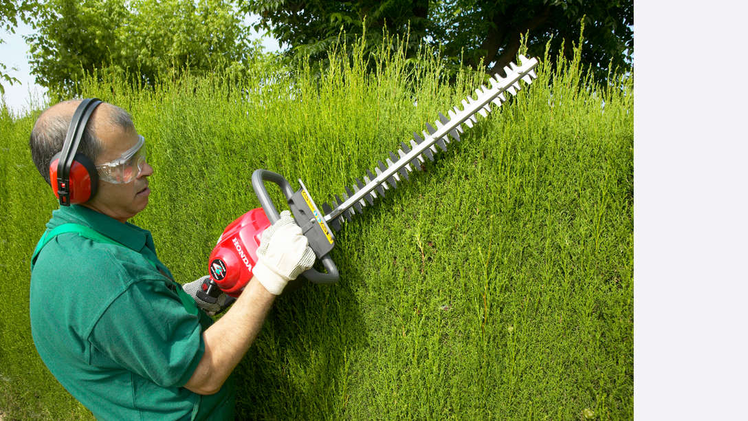 Honda Hedgetrimmers, being used by model, garden location.