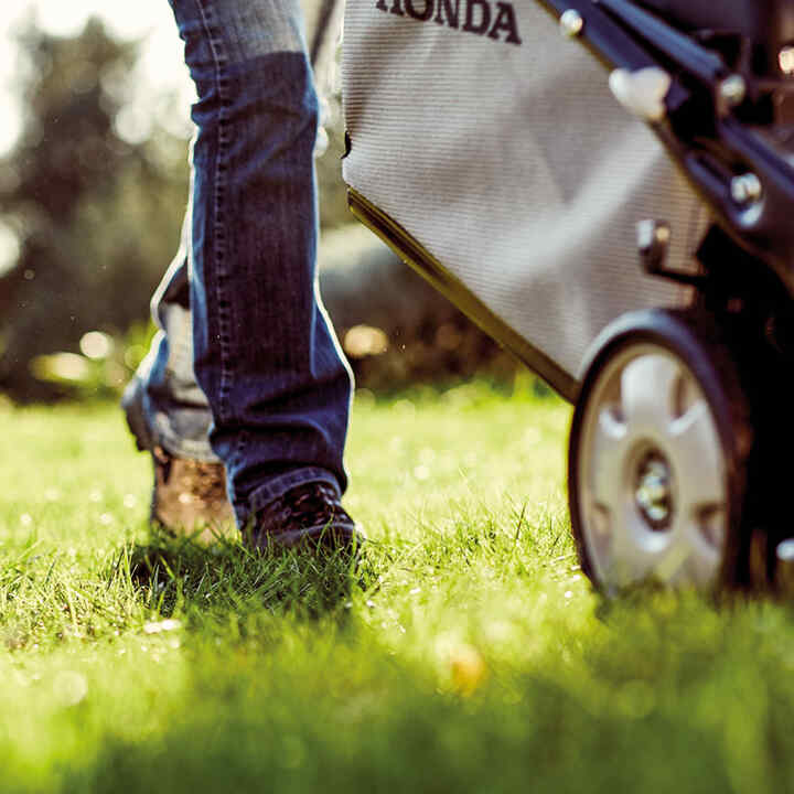 Close up of lawnmower working on the lawn.