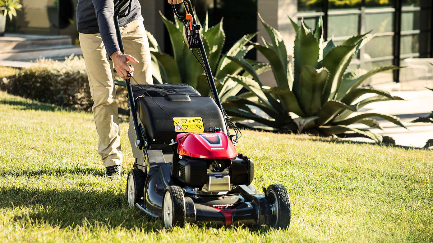 Honda HRX lawnmower in garden location.