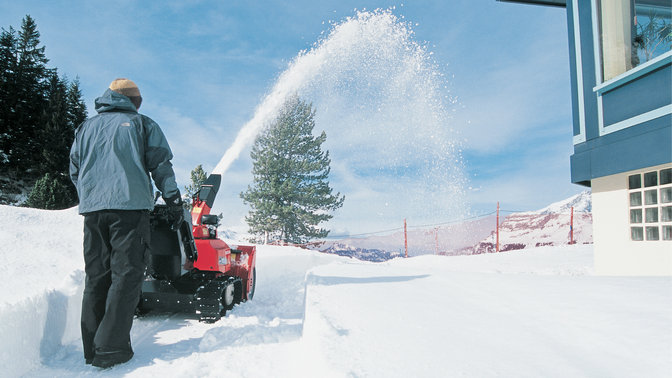 Hybrid being used by model, garden location.