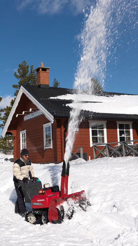 Hybrid being used by model, garden location.